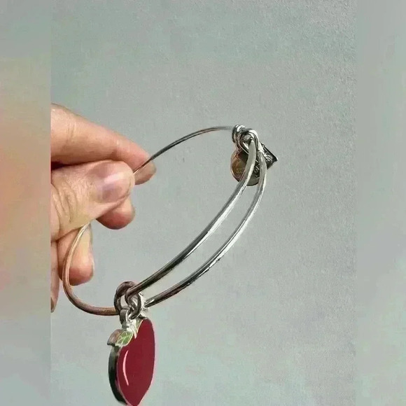 Teacher Red Apple  Silver Bangle Braclet Accessory Gift Jewelry Fashion Mentor - Picture 3 of 6
